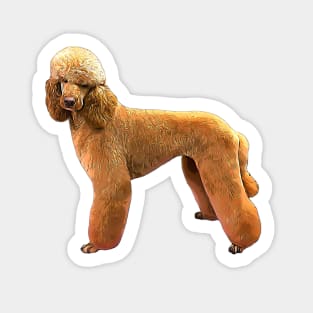 Poodle Apricot Beauty Sticker